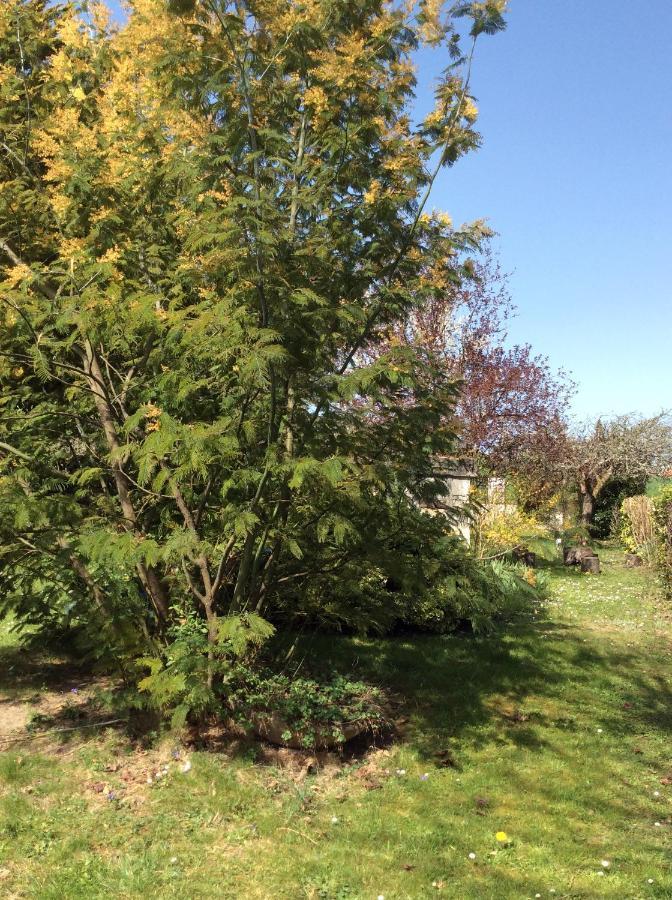 Gite O Beauval Saint-Aignan  Bagian luar foto